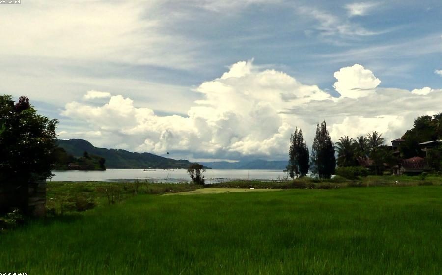 Kegiatan MBG Bukittinggi di Bukittinggi